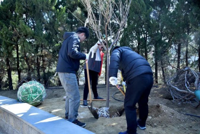 春風十里，植下一片綠 | 瑞源控股集團開展2023年植樹節系列活動